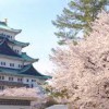 名古屋城桜祭り