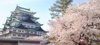 名古屋城桜祭り