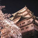 名古屋城夜桜