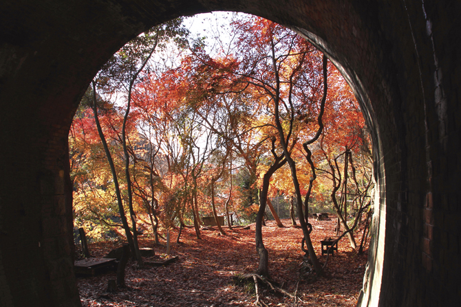 愛知県紅葉スポット 定番と穴場７５選