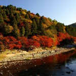 茶臼山高原紅葉
