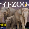 ナイトZOO東山動植物